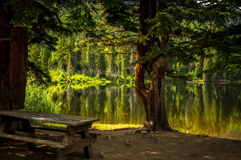 a picnic table sitting next to a body of water, inspired by Ethel Schwabacher, shutterstock, mobile wallpaper, trees and pines everywhere, idaho, shot on nikon z9