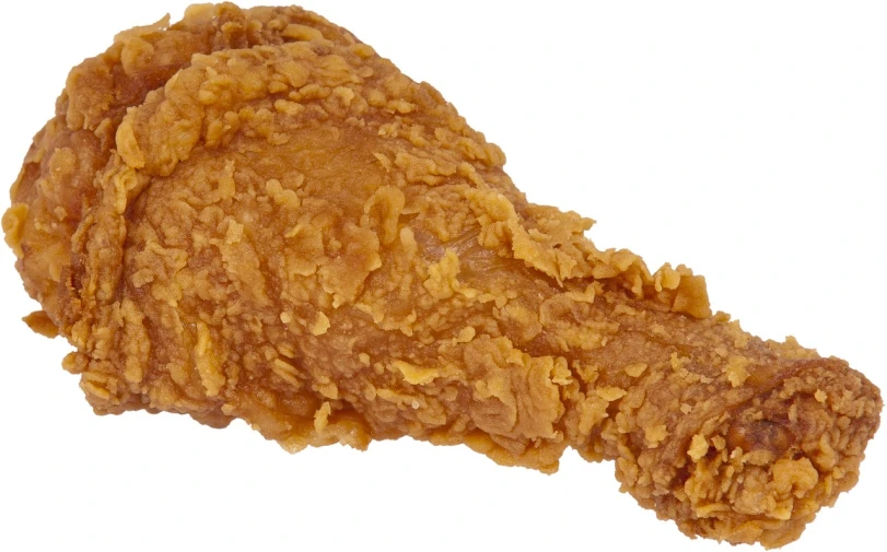 a piece of fried chicken on a white background, by Randy Post, pexels, fantastic realism, h- 1024, detailed scan, thick tail, group photo