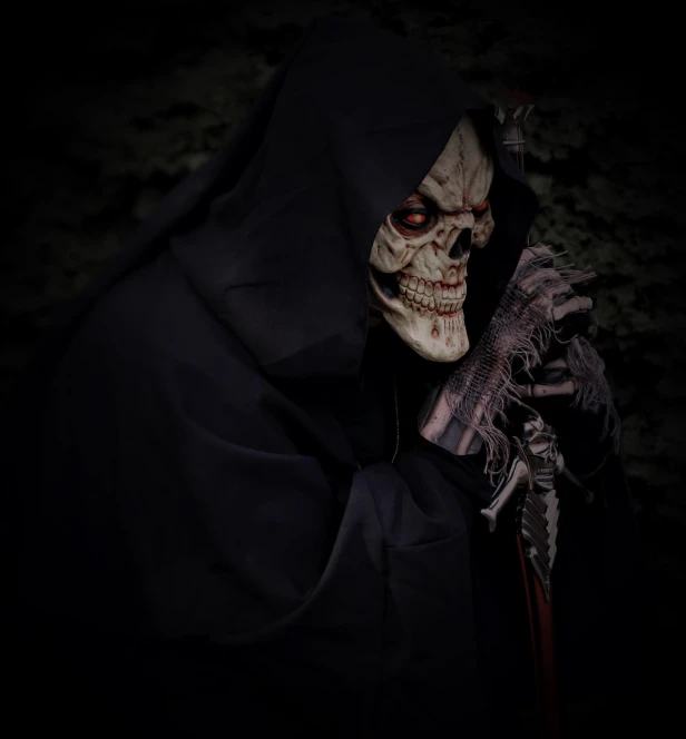 a close up of a person wearing a skeleton mask, reddit, digital art, dark robe, background image, man with scythe, taken with canon 5d mk4