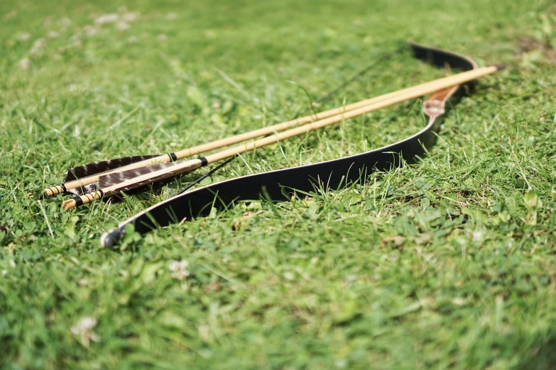 a couple of arrows sitting on top of a lush green field, hurufiyya, ebony wood bow, lying on the grass, detailed shot, hero shot