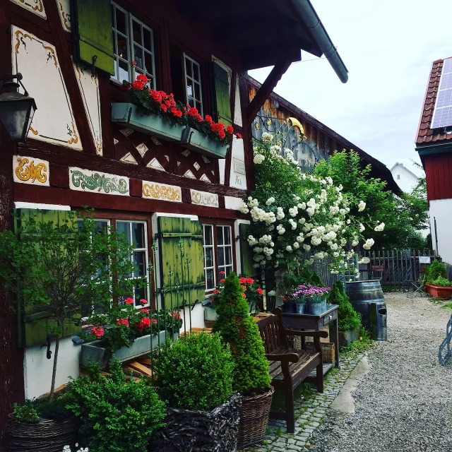 a couple of wooden benches sitting in front of a building, a picture, renaissance, rich vines and verdant flowers, tavern, complex details, market