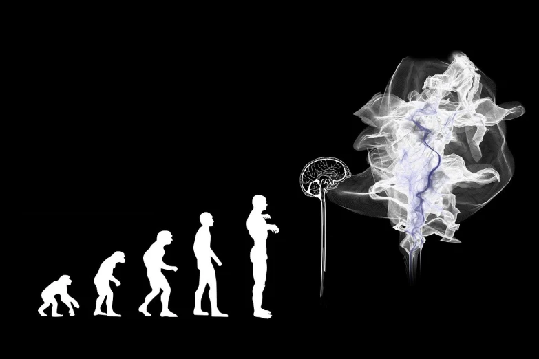 a group of people standing next to each other, inspired by Earnst Haeckel, tumblr, conceptual art, smoking a joint, brain connected to computer, evolution of man, hd wallpaper