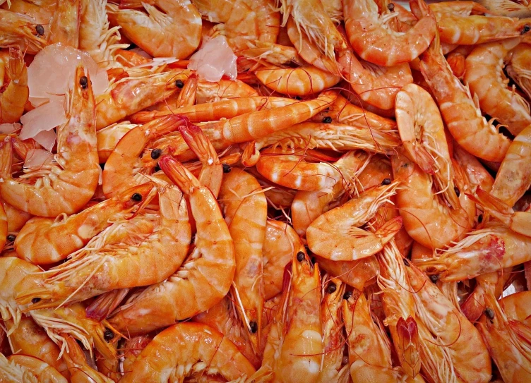 a pile of shrimp sitting on top of a table, a photo, pixabay, hurufiyya, 🦩🪐🐞👩🏻🦳, chicago, gold, stock photo
