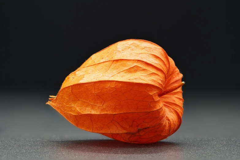 a close up of a leaf on a table, a macro photograph, shutterstock, hyperrealism, chinese lanterns, highly detailed product photo, orange body, studio photo