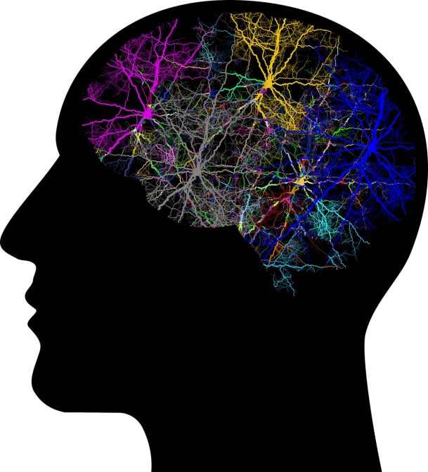 a close up of a brain on a black background, by Dietmar Damerau, flickr, generative art, neuron, rainbow, scientific document, rice
