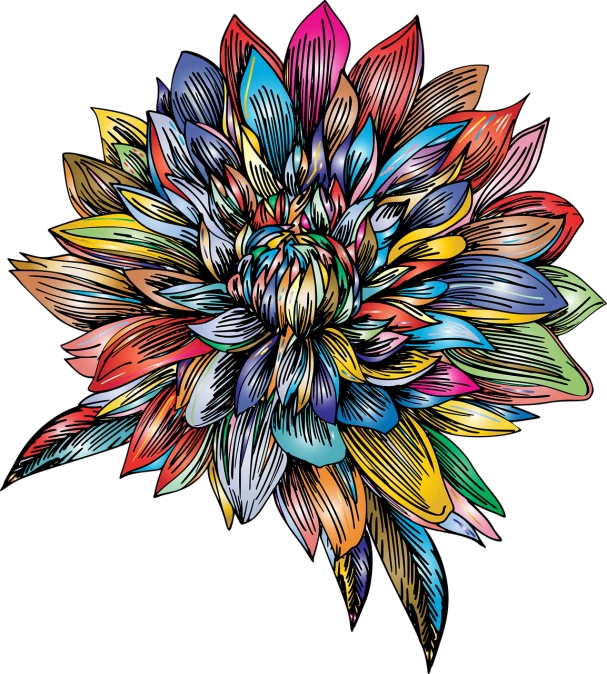 a colorful flower on a black background, by Albert Kotin, psychedelic art, woodcut style, epic full color illustration, sharp high detail illustration, penned with thin colors on white