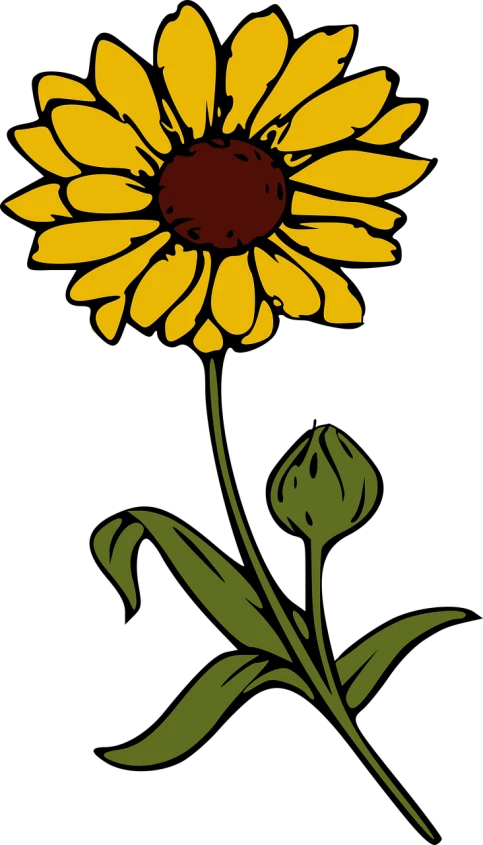 a yellow sunflower on a black background, a woodcut, by Maxwell Bates, pixabay, full color illustration, romantic simple path traced, tall flowers, cartoon illustration