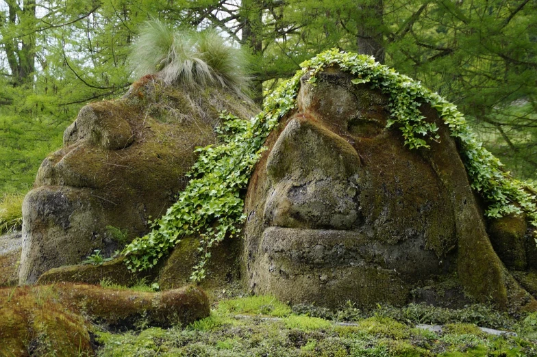 a couple of large rocks covered in green plants, a photo, trending on pixabay, environmental art, highley detailled face, old humanoid ents, over grown botanical garden, haida gwaii