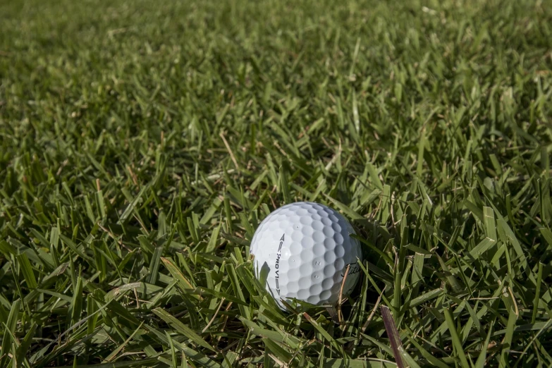 a golf ball sitting on top of a lush green field, a picture, by Richard Carline, very sharp photo, taken with canon 8 0 d, sport, tourist photo