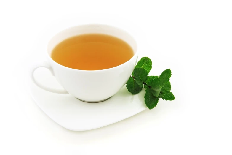 a cup of tea on a saucer with a sprig of mint, by Eva Gonzalès, pixabay, with a white background, istockphoto, soup, peruvian