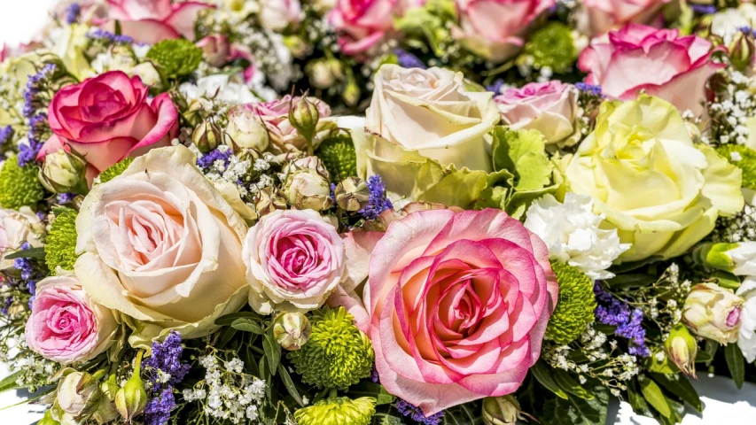 a close up of a bunch of flowers, by Arnie Swekel, pixabay, romanticism, laying on roses, highly detailed composition, midsommar color theme, green and pink