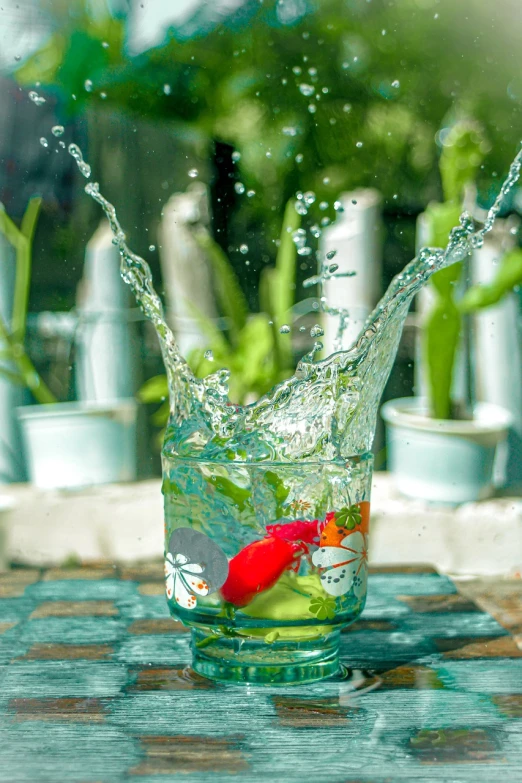 a glass of water with a red fish in it, a picture, splash house, cheerful atmosphere, plant photography, hot summer day