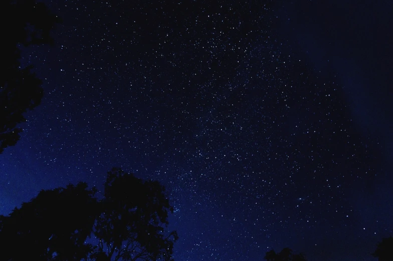 a night sky filled with lots of stars, a picture, minimalism, over the tree tops, oz, medium close-up shot, visible from afar!!