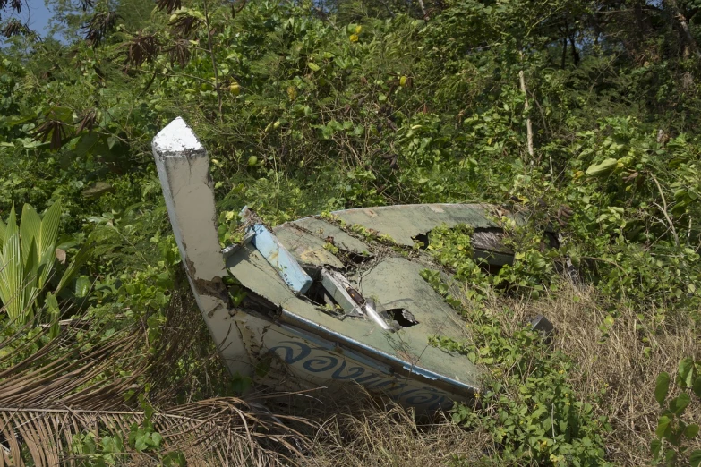 a boat that is sitting in the grass, a portrait, flying debris, with lots of vegetation, spoiler, aircraft