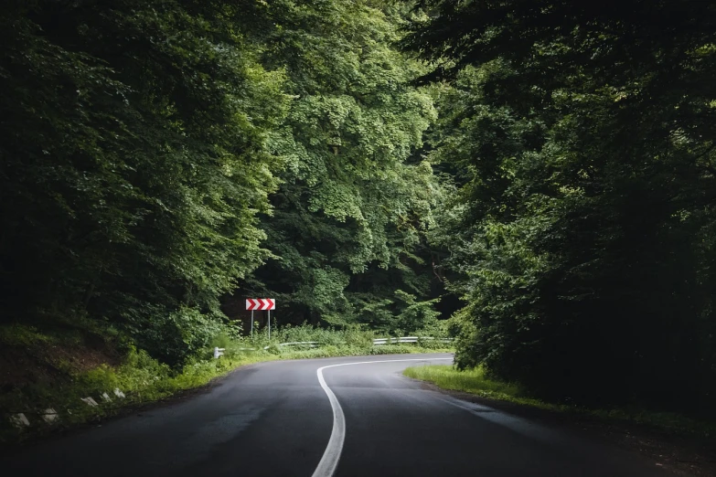 a red and white traffic sign sitting on the side of a road, a picture, by Adam Szentpétery, pexels, realism, lush green deep forest, winding around trees, hq 4k phone wallpaper, black road