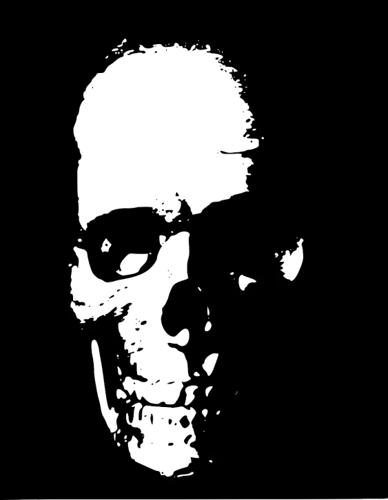 a black and white photo of a skull with sunglasses, vector art, pixabay, primitivism, film still from sin city, nosferatu, hq 4k phone wallpaper, black backround. inkscape
