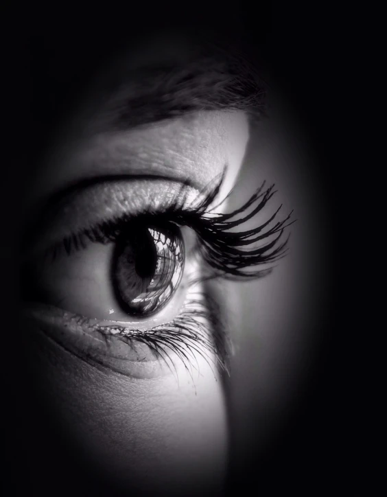 a black and white photo of a woman's eye, a black and white photo, by Thomas Häfner, pixabay, hurufiyya, eyes). full body realistic, dark brown eyes and eyelashes, focus on iris, looking from side