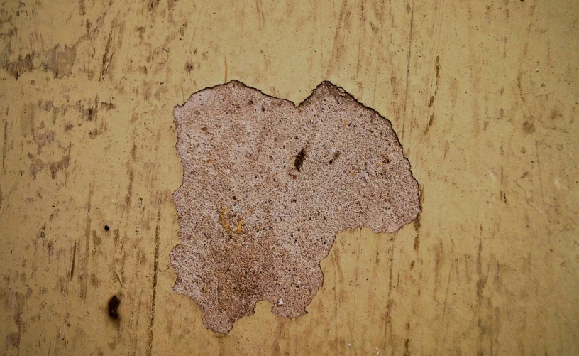 a close up of a piece of paper on a wooden surface, a photo, inspired by Lucio Fontana, dirt - stained skin, cracked brick background, bee, very sharp photo