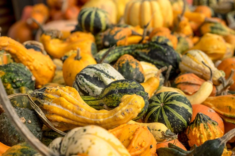 a basket filled with lots of different types of gourds, a picture, by Maksimilijan Vanka, shutterstock, precisionism, closeup 4k, carnival, in the autumn, green and yellow colors