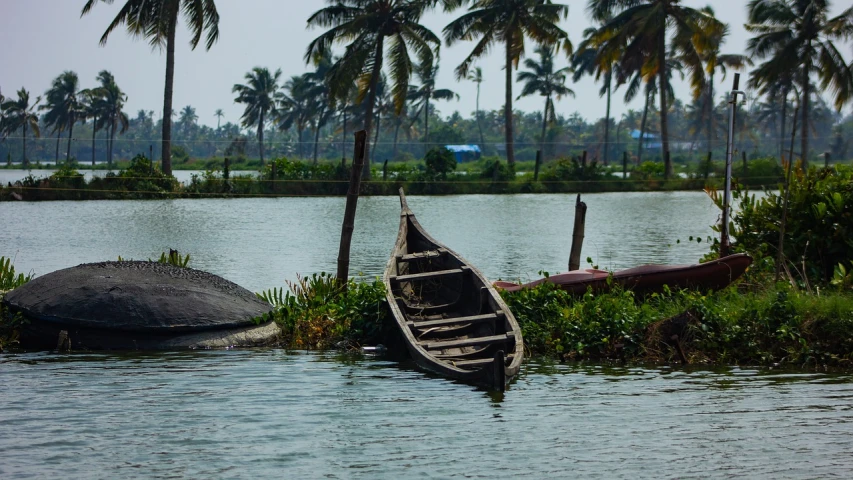 a boat sitting in the middle of a body of water, by Max Dauthendey, flickr, hurufiyya, kerala village, partly sunken! in the lake!, fantasy. gondola boat, the palms come from the depths