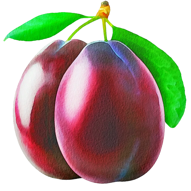 a painting of two plums on a black background, a digital rendering, digital art, fully colored, shaded perfect, air brush illustration, screen cap