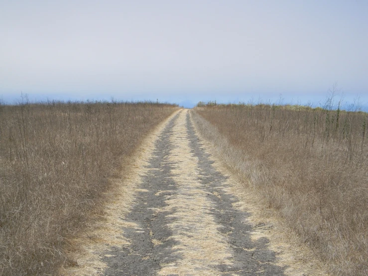 a dirt road in the middle of a field, by Dennis Ashbaugh, flickr, land art, ocean to the horizon, dry grass, pch, ligjt trail