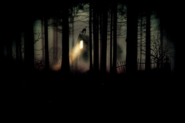 a person standing in the middle of a forest at night, by Thomas Bock, flickr, conceptual art, witch cottage in the forest, ((mist)), pyramid head from silent hill, scary shadow people