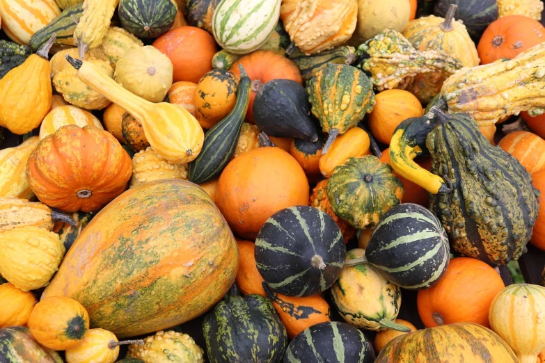 a pile of squash and gourds sitting on top of each other, a photo, symbolism, high quality product image”