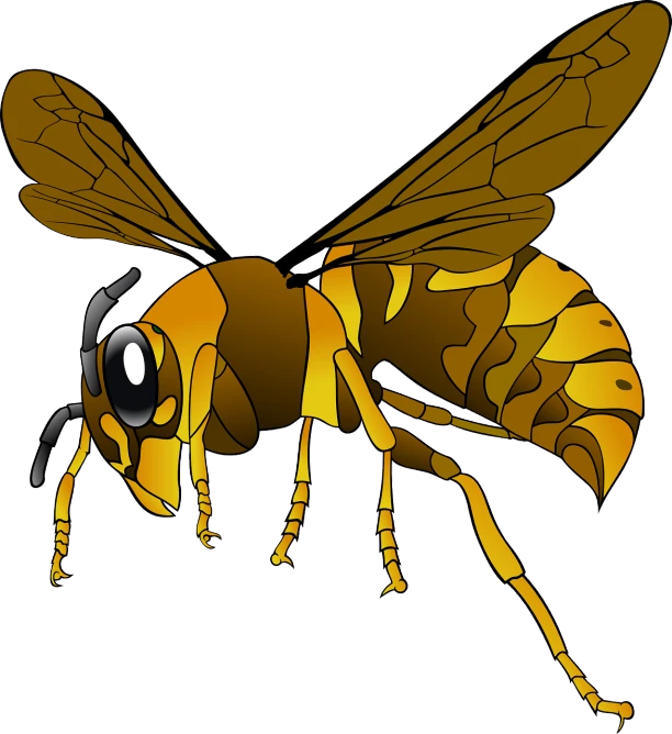 a close up of a bee on a black background, an illustration of, hurufiyya, !!! very coherent!!! vector art, cell shaded adult animation, tomcat raptor hornet falcon, full color illustration