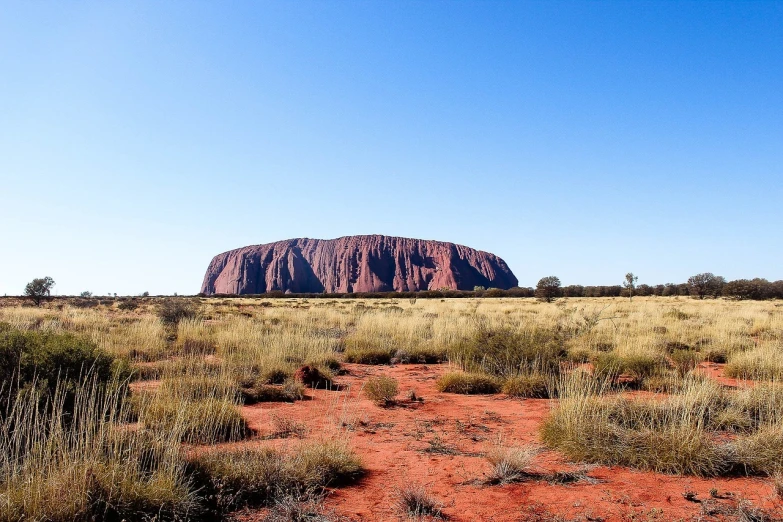 the aye aye aye aye aye aye aye aye aye aye aye aye aye aye aye aye aye aye aye aye aye aye aye aye aye aye aye, by Elizabeth Durack, shutterstock, hurufiyya, uluru, stunning vista, magnificent oval face, 4 k -