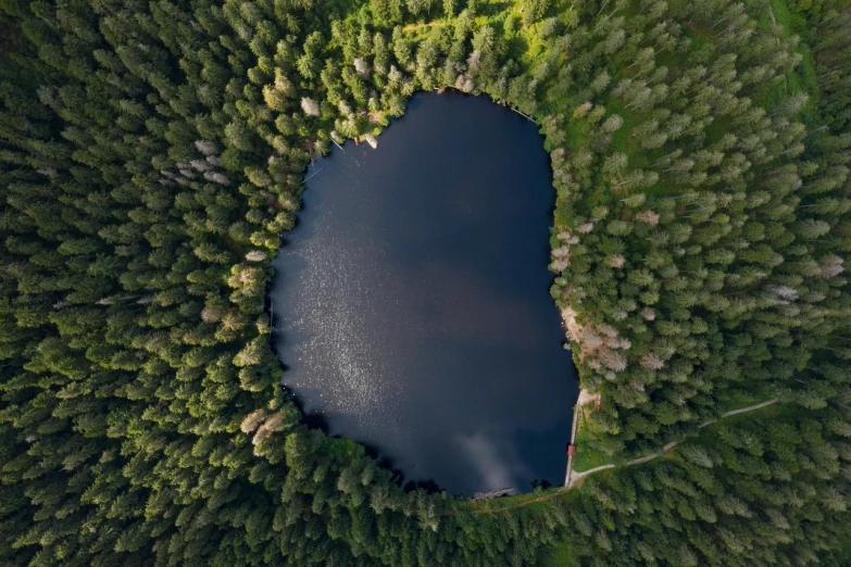 a bird's eye view of a lake surrounded by trees, by Sebastian Spreng, land art, 4 k hd wallpapear, heaven in the top, shaped focus, shade