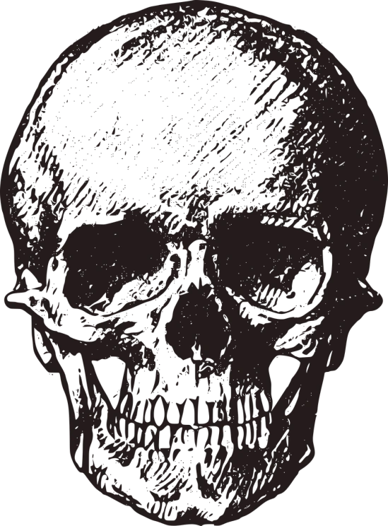 a black and white drawing of a skull, by Ejnar Nielsen, pixabay, sots art, brown, background image, blank, dark. no text