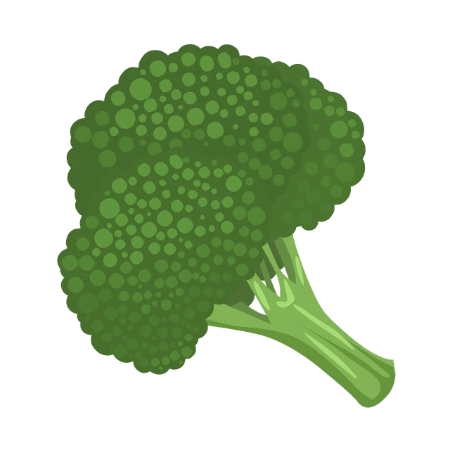 a piece of broccoli on a black background, a digital rendering, simple cartoon style, farms, with a black background, fruit