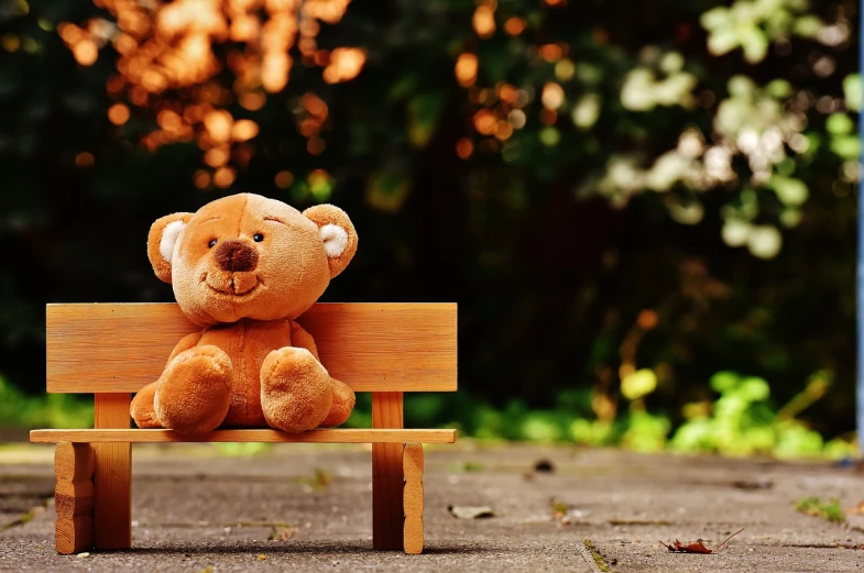 a teddy bear sitting on top of a wooden bench, a picture, by Niko Henrichon, trending on pixabay, sitting on a park bench, toy package, istock, photo realistic image