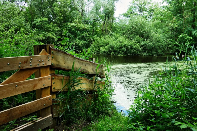 a wooden bench sitting next to a body of water, by Richard Carline, flickr, environmental art, railing along the canal, lush green, rough wooden fence, view from the side”