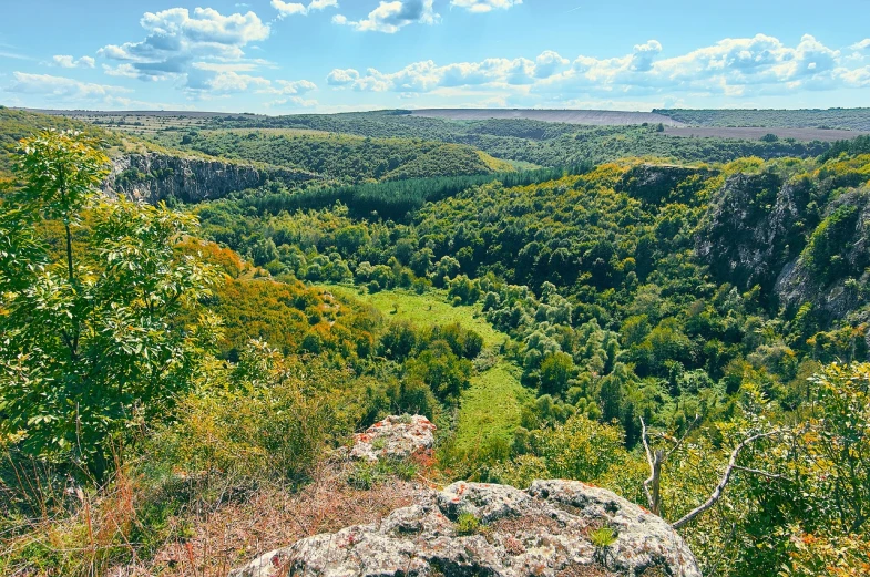 a large rock sitting on top of a lush green hillside, by Alexander Fedosav, view from high, dramatic autumn landscape, panorama distant view, colorful ravine