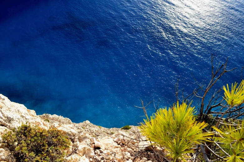 a view of the ocean from the top of a mountain, a picture, by Matthias Weischer, mediterranean beach background, blue wall, rich contrast, sea plants