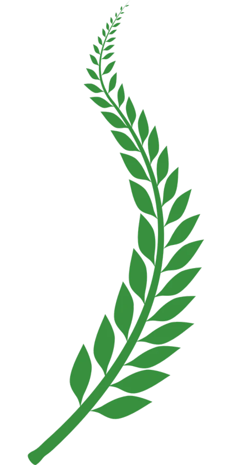 a green leaf on a black background, a screenshot, inspired by Masamitsu Ōta, hurufiyya, in laurel wreath, elongated arms, greece, 1128x191 resolution