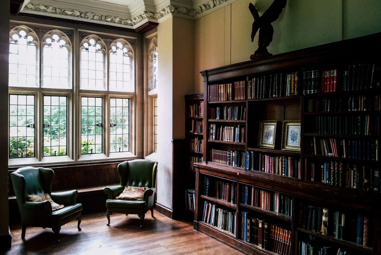 a library filled with lots of books next to a window, a photo, by Richard Carline, william morris style, interior photography, anxious steward of a new castle, peaceful scene