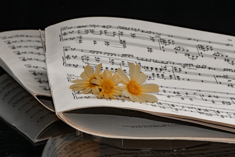 a close up of a book with a flower on top of it, an album cover, by Hariton Pushwagner, pixabay, vanitas, musical notes, daisies, in plastic, sheet music