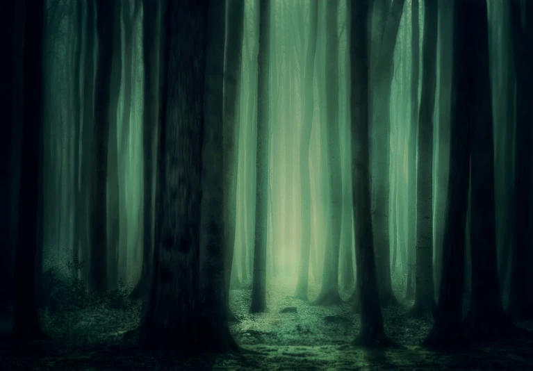 a forest filled with lots of green trees, digital art, by Eglon van der Neer, unsplash contest winner, tonalism, scary magical background, eerie ”, mikko lagerstedt, painting of a forest