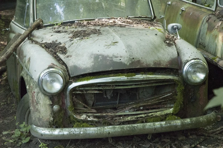 an old car is sitting in the woods, by Richard Carline, closeup face, mold, random detail, overload