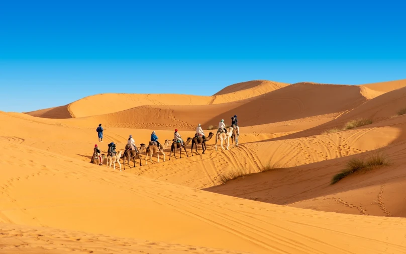 a group of people riding camels in the desert, a picture, by Richard Carline, shutterstock, sandy colours, customers, blue sand, caravan