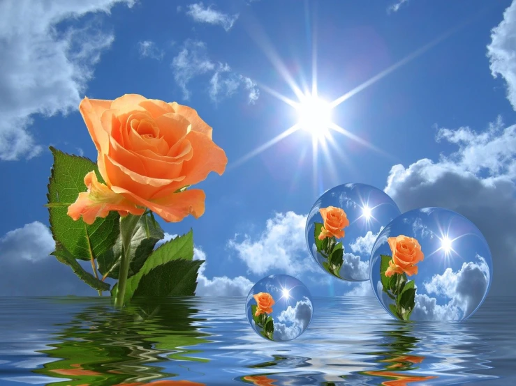 a bunch of bubbles floating on top of a body of water, by Alexander Kucharsky, pixabay, romanticism, decorative roses, the sun. beautiful, orange and blue sky, reflecting flower