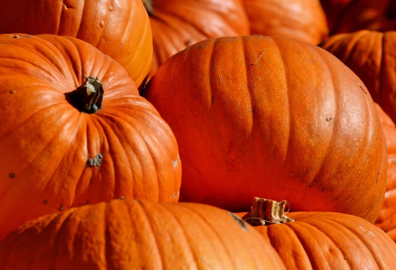 a pile of orange pumpkins sitting on top of each other, a picture, pexels, version 3, hi resolution, wallpaper - 1 0 2 4, web