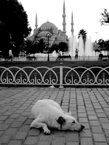 a dog laying on the ground in front of a fountain, a black and white photo, by Ismail Acar, tumblr, arabesque, fallout style istanbul, 2 0 5 6 x 2 0 5 6, mosque, by :5 sexy: 7