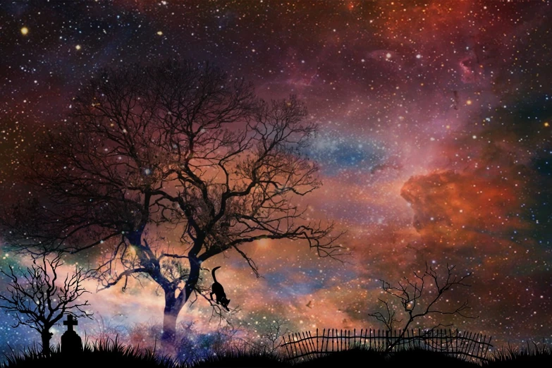 a cat sitting on top of a tree under a sky full of stars, digital art, space art, red eerie sky, gateway to another universe, beautiful photo, eerie colors