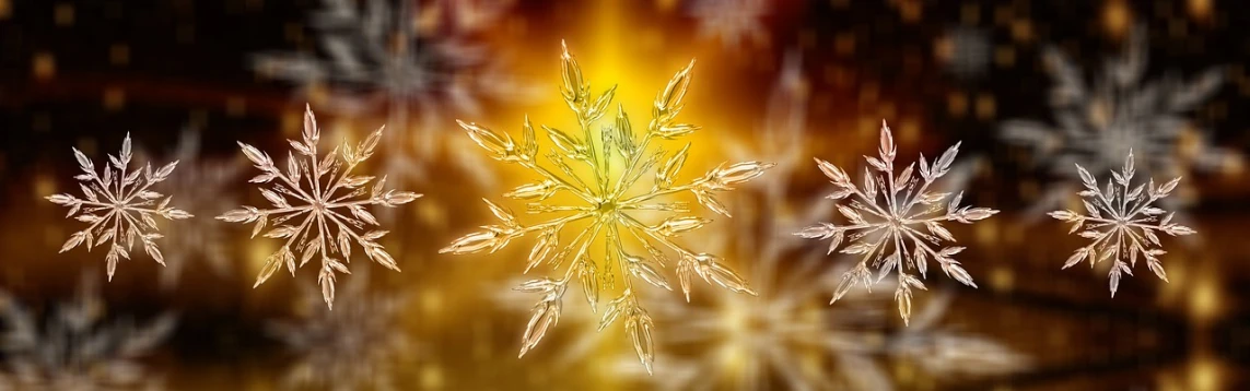 a group of snowflakes sitting on top of a table, a microscopic photo, crystal cubism, golden hour closeup photo, luminous grassy background, digital art but photo, high details photo