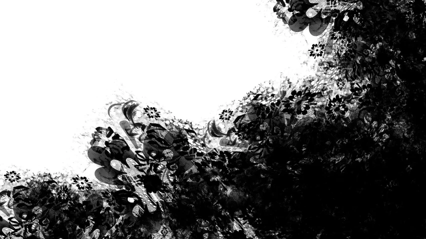 a black and white photo of a leafy tree, a black and white photo, inspired by yoji shinkawa, tumblr, lyrical abstraction, mandelbulb flowers and trees, snapchat photo, amoled wallpaper, the brittle. digital painting