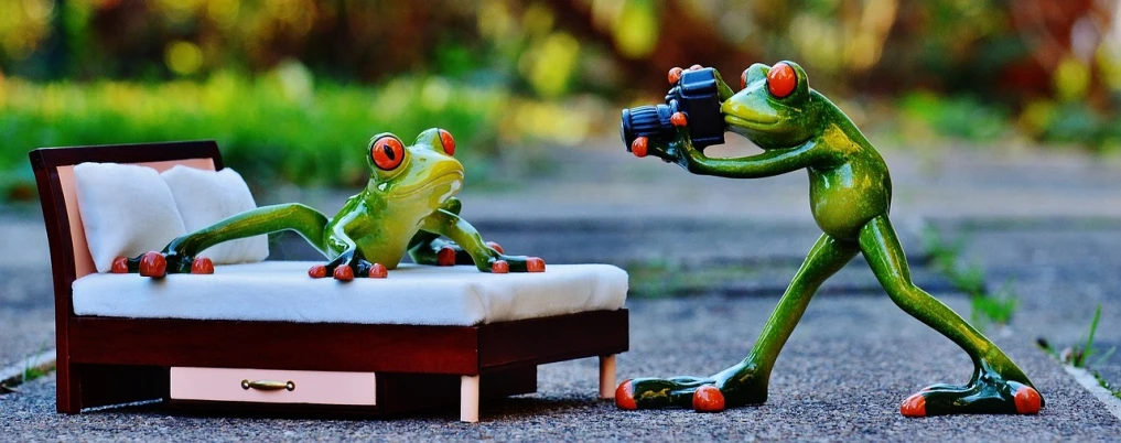 a figurine of a frog taking a picture of a bed, a picture, by Zoran Mušič, pixabay, visual art, two still figures facing camera, outdoor photo, mexican standoff, seducing the camera
